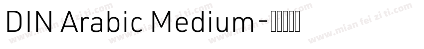 DIN Arabic Medium字体转换